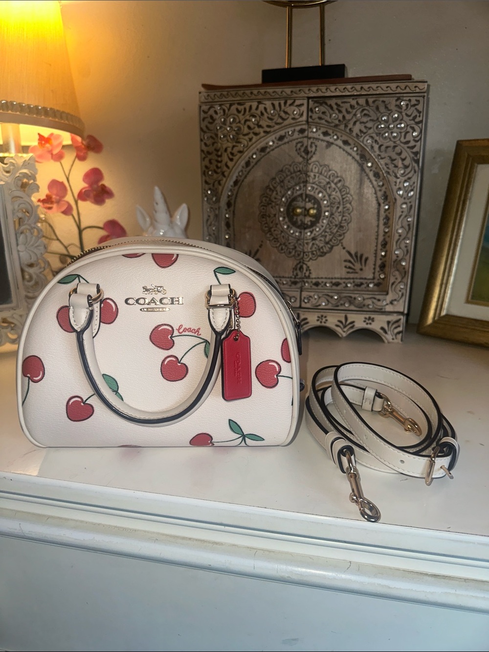 COACH Cherry Print Dome Bag